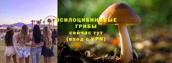 гашик Лиски