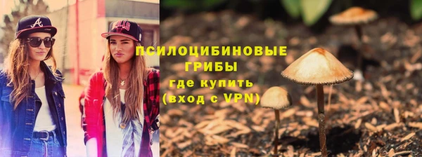 гашик Лиски