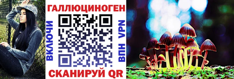 Псилоцибиновые грибы мицелий  купить наркоту  Чекалин 